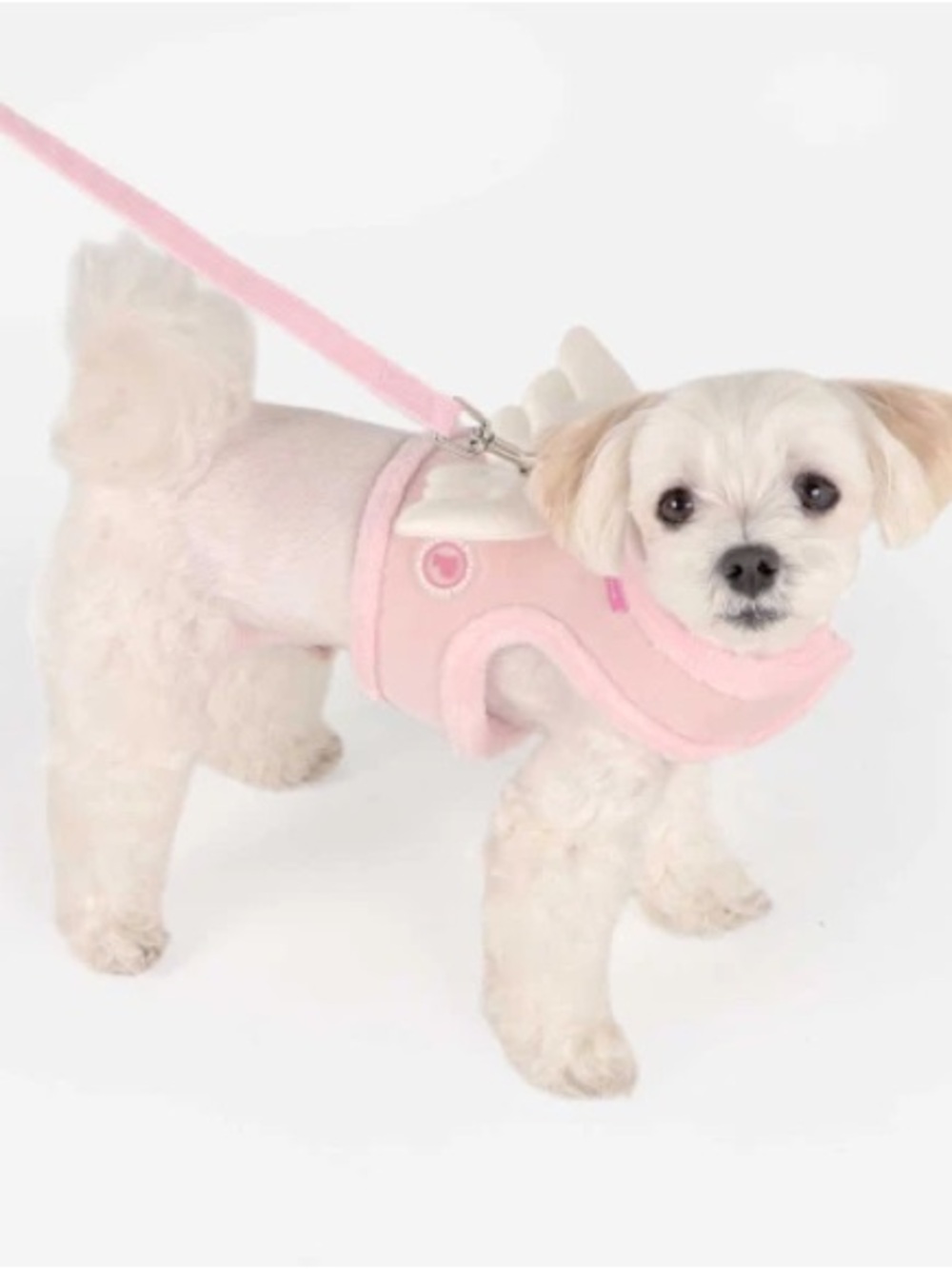 Pinkaholic by Puppia Peliah Pinka angel harness and leash set